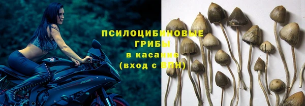 мефедрон мука Вяземский