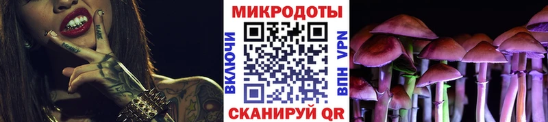 Псилоцибиновые грибы Psilocybine cubensis  Купить закладки  Кондопога 